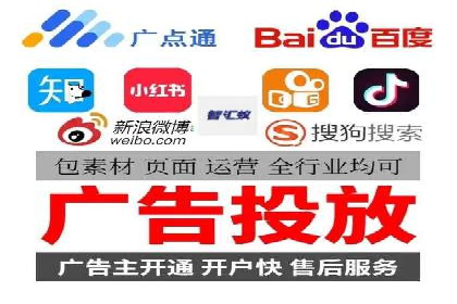 某企业通过SEM实现品牌与销售双增长的案例